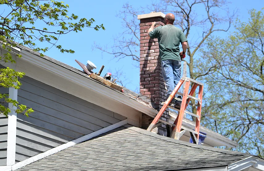 Chimney & Fireplace Inspections Services in Martinez, GA